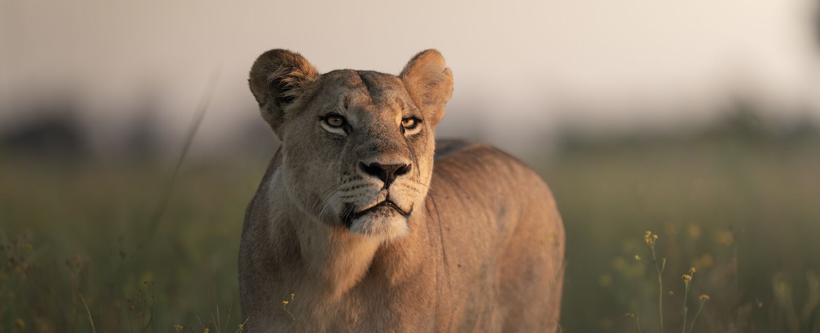 Explore The Okavango Journey - 8 nights